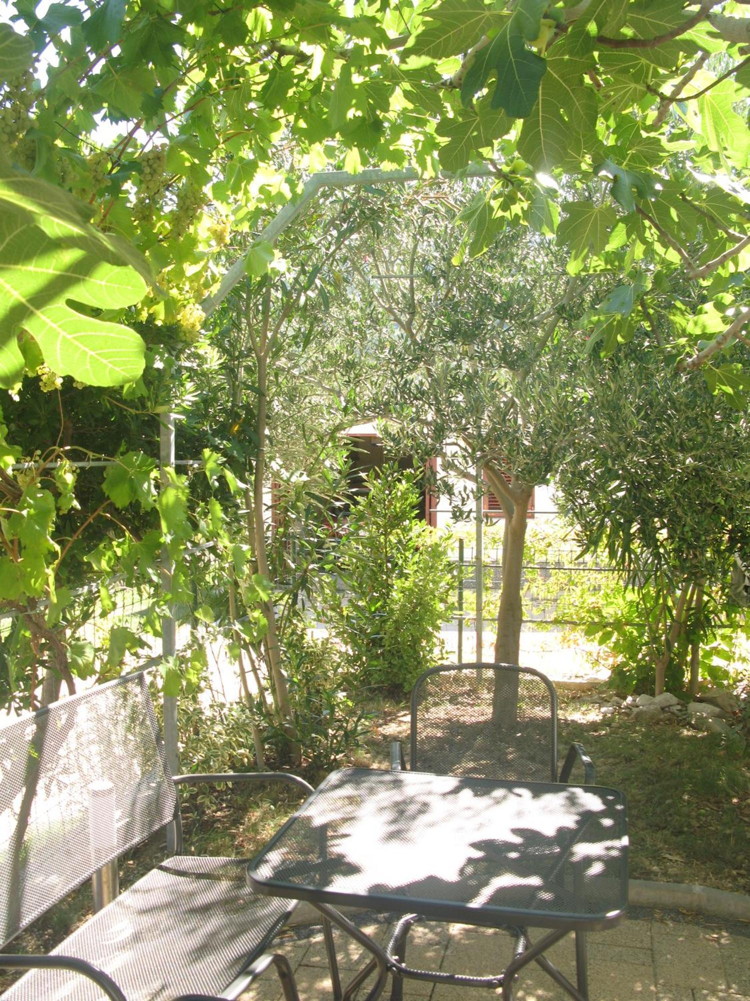Apartment Ida I